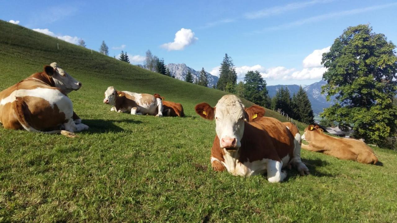 Ferienhaus Bichlhuette Pruggern Exteriér fotografie
