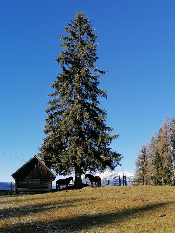 Ferienhaus Bichlhuette Pruggern Exteriér fotografie
