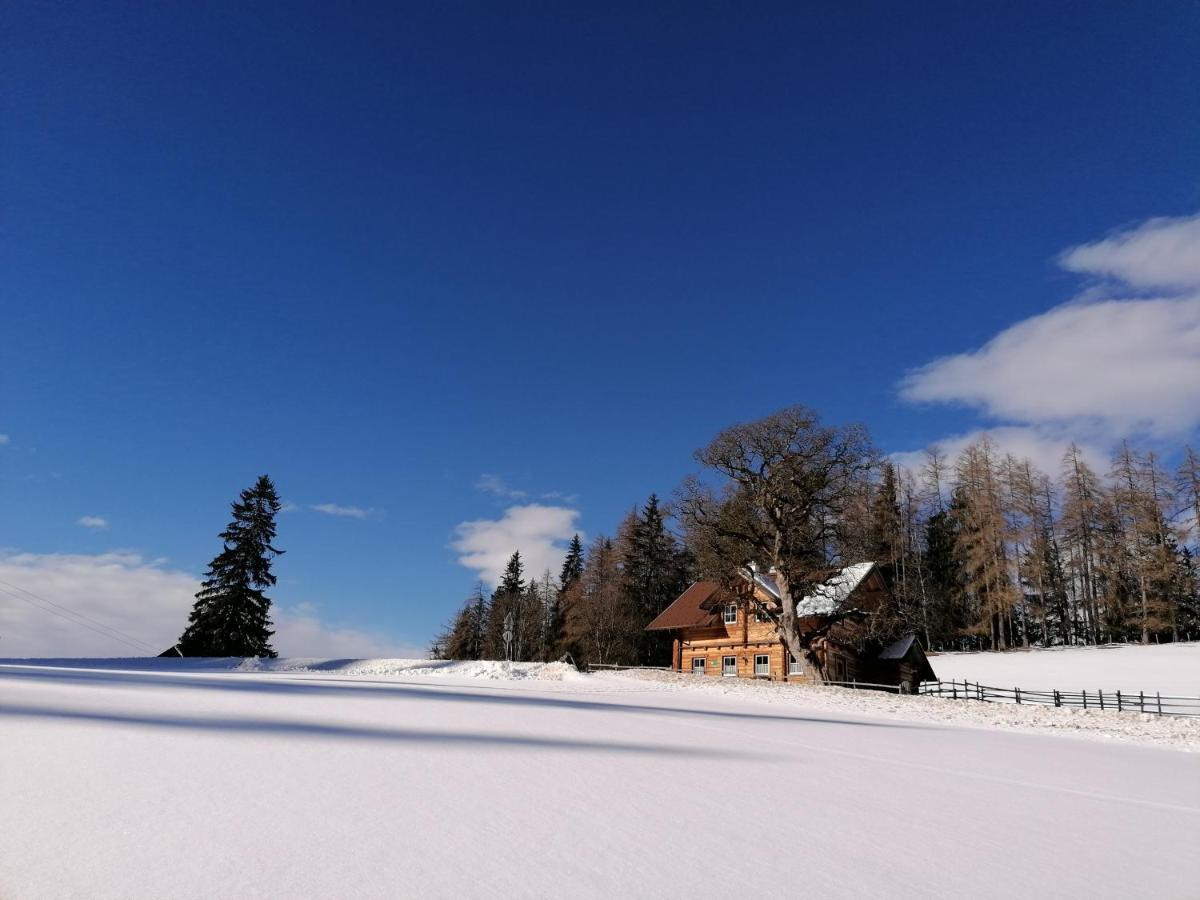 Ferienhaus Bichlhuette Pruggern Exteriér fotografie
