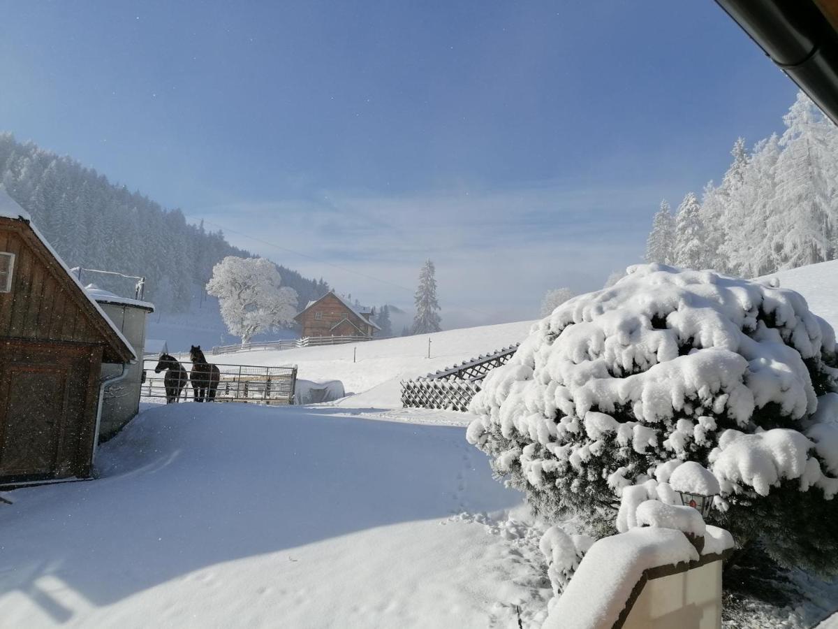 Ferienhaus Bichlhuette Pruggern Exteriér fotografie