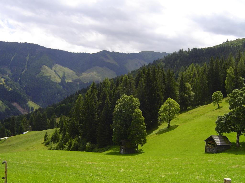 Ferienhaus Bichlhuette Pruggern Pokoj fotografie
