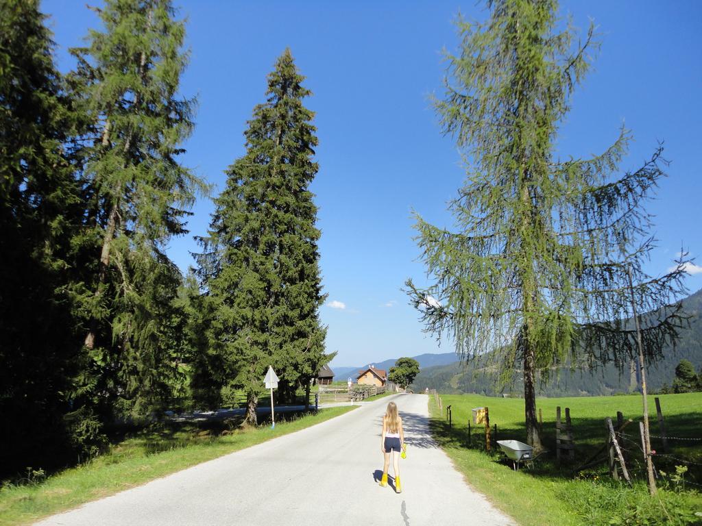 Ferienhaus Bichlhuette Pruggern Pokoj fotografie
