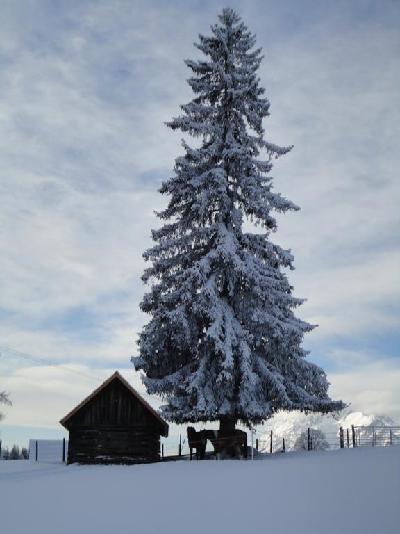 Ferienhaus Bichlhuette Pruggern Pokoj fotografie